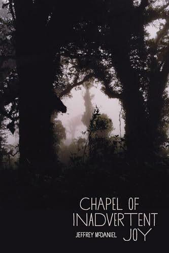 Chapel of Inadvertent Joy (Pitt Poetry)