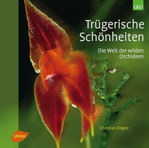 Trügerische Schönheiten: Die Welt der wilden Orchideen
