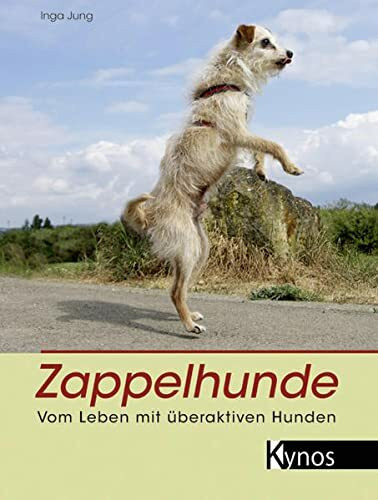 Zappelhunde: Vom Leben mit überaktiven Hunden