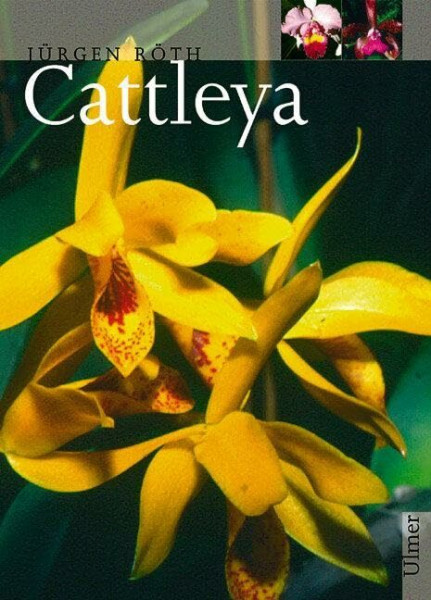 Cattleya: Unter Mitarb. v. Bärbel Röth
