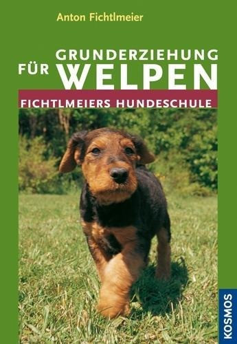 Grunderziehung für Welpen