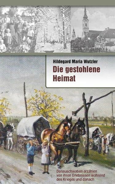 Die gestohlene Heimat: Donauschwaben erzählen von ihren Erlebnissen während des Krieges und danach