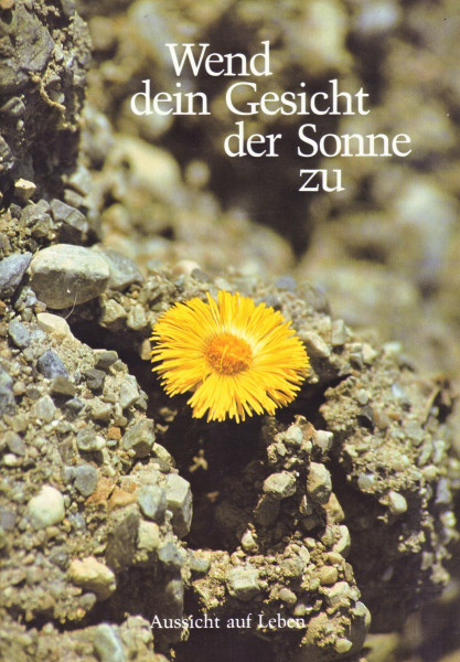 Wend dein Gesicht der Sonne zu