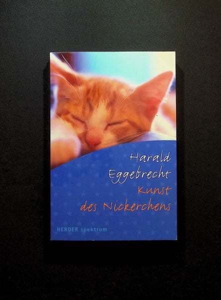 Die Kunst des Nickerchens