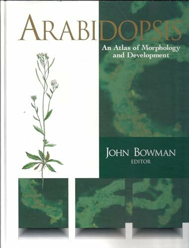 Arabidopsis: An Atlas of Morphology and Development