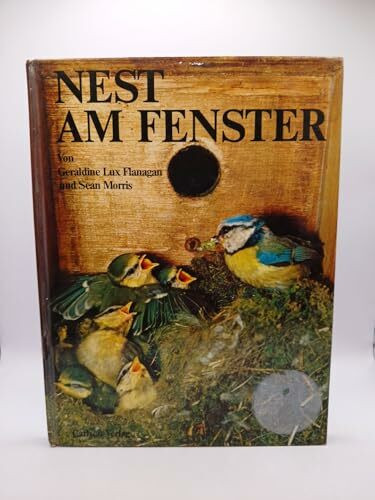 Nest am Fenster