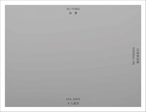 Xu Yong: 18% GRAY | MY FRIENDS