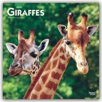 Giraffes - Giraffen 2020 - 18-Monatskalender