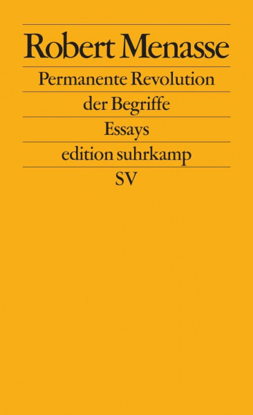 Permanente Revolution der Begriffe: Vorträge zur Kritik der Abklärung (edition suhrkamp)
