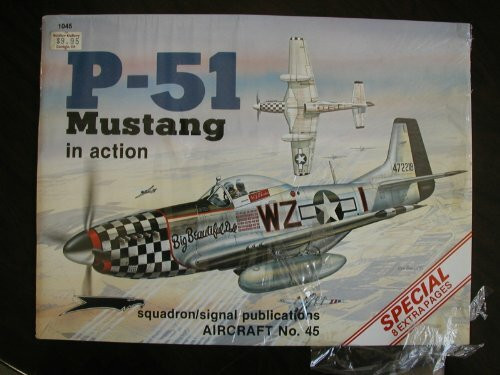 P-51 Mustang in Action