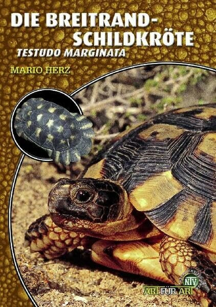 Die Breitrandschildkröte: Testudo marginata (Buchreihe Art für Art Terraristik)