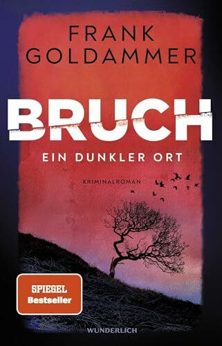 Bruch: Ein dunkler Ort: Ein dunkler Ort (Felix Bruch, Band 1)