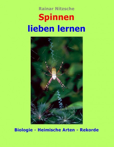 Spinnen lieben lernen