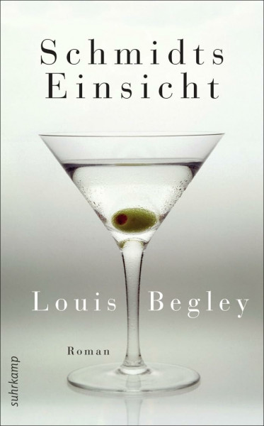 Schmidts Einsicht. Roman