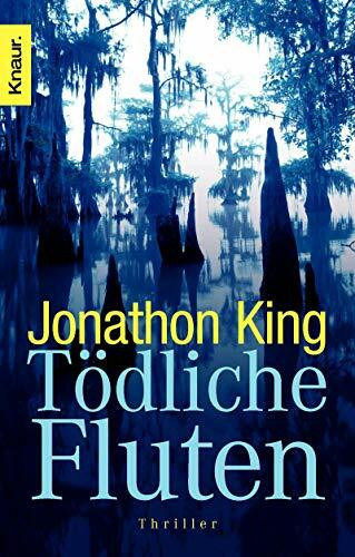 Tödliche Fluten: Thriller
