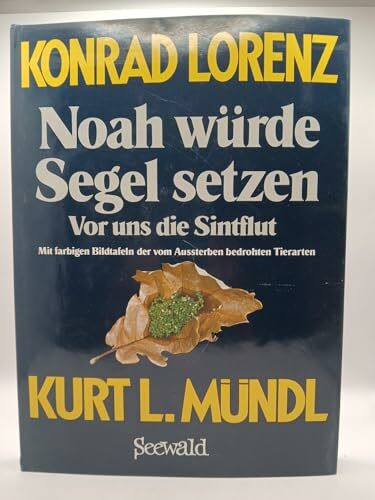 Noah würde Segel setzen. Vor uns die Sintflut