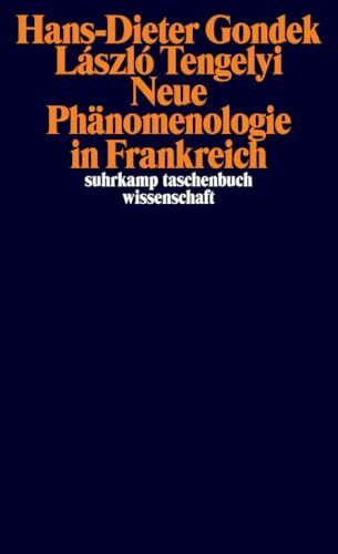 Neue Phänomenologie in Frankreich (suhrkamp taschenbuch wissenschaft)
