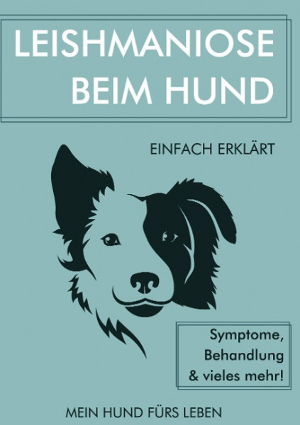 Leishmaniose bei Hunden