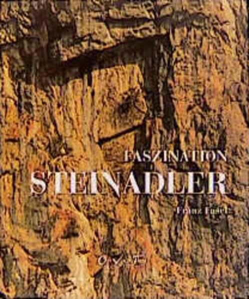 Faszination Steinadler