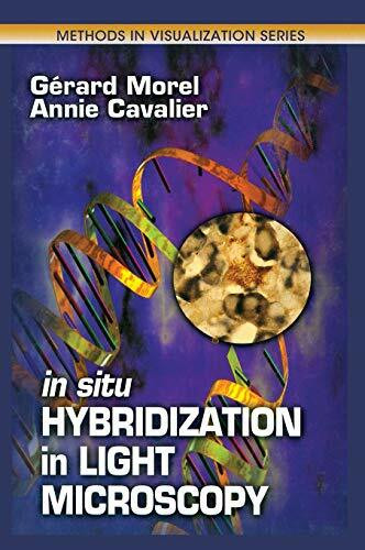 In Situ Hybridization in Light Microscopy (Methods in Visualization)