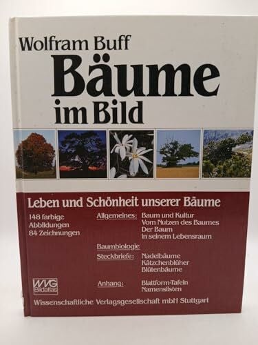 Bäume im Bild. Leben und Schönheit unserer Bäume