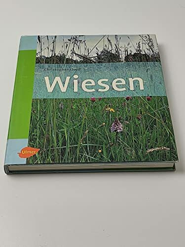 Wiesen