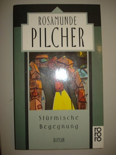 Stürmische Begegnung: Roman