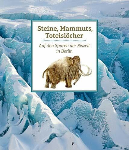 Steine, Mammuts, Toteislöcher: Auf den Spuren der Eiszeit in Berlin (Edition Stadtmuseum: KLEINE REIHE)