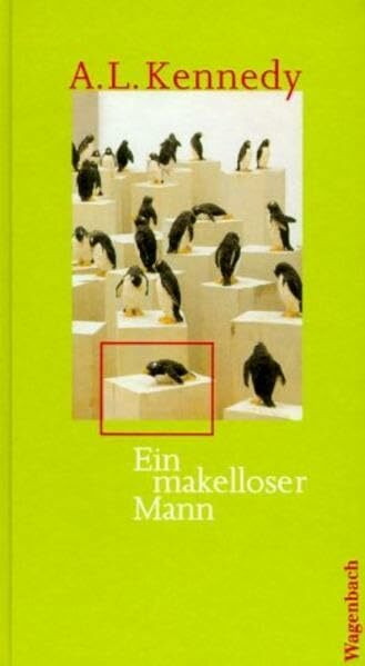 Ein makelloser Mann: Erzählungen (Quartbuch)