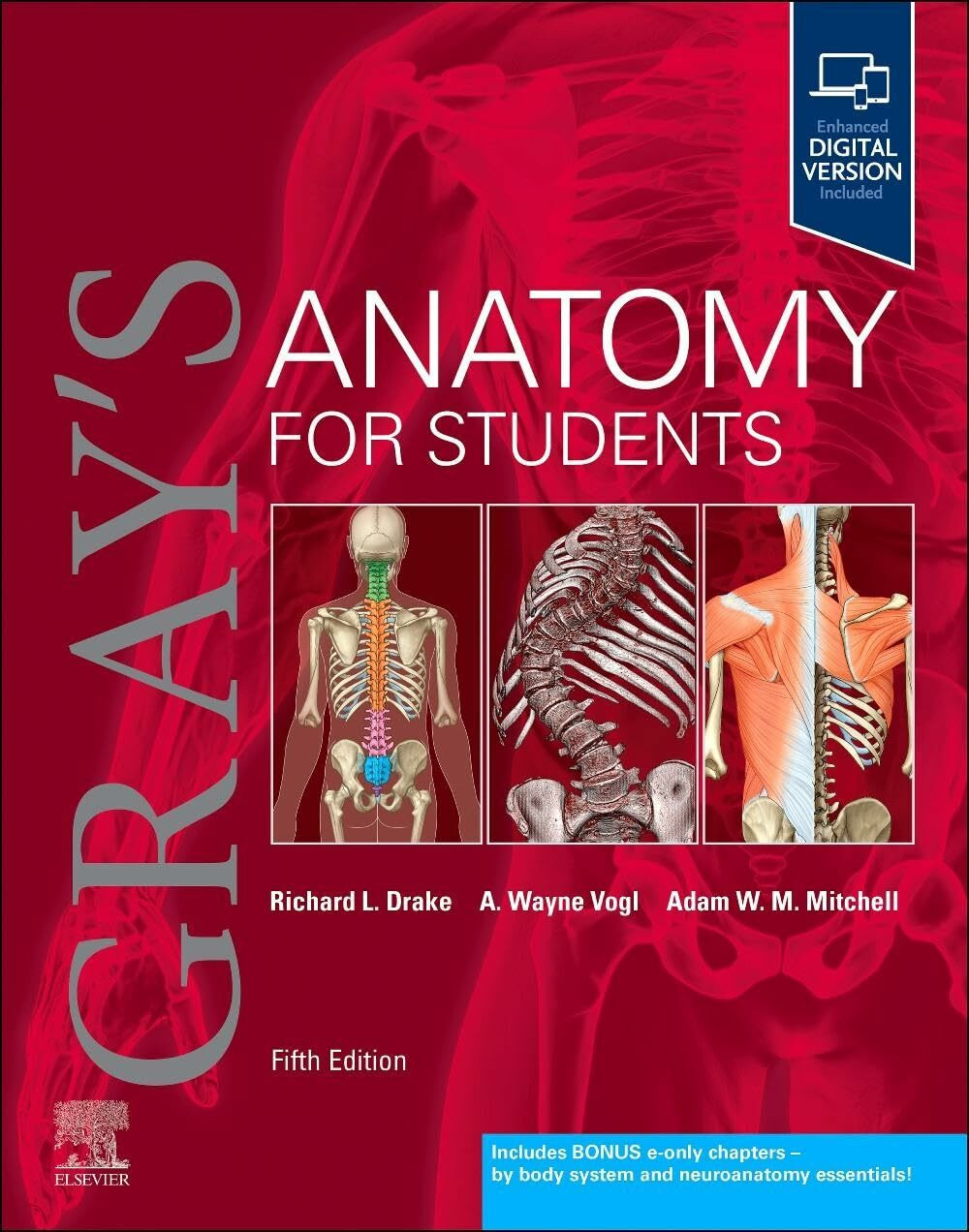 Elsevier Gray's Anatomy For Students, Fachbücher Von A. Wayne Vogl, Adam W. M. Mitchell, J. Waschke, Richard Drake, Paulsen F. - Bild 3