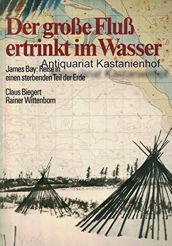 Im Schatten ihrer Männer : Roman