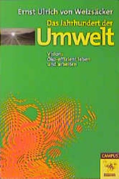 Das Jahrhundert der Umwelt: Vision: Öko-effizient leben und arbeiten (Die Buchreihe zu den Themen der EXPO2000)