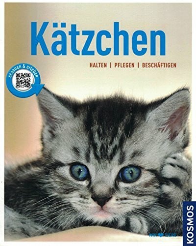 Kätzchen: halten, pflegen, beschäftigen (Mein Tier)