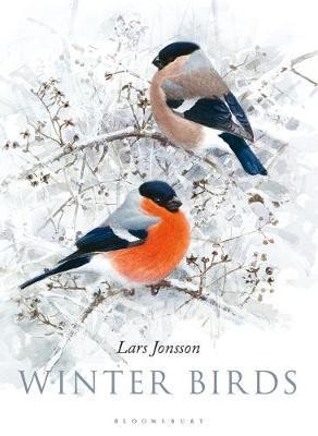 Winter Birds