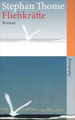 Fliehkräfte: Roman (suhrkamp taschenbuch)