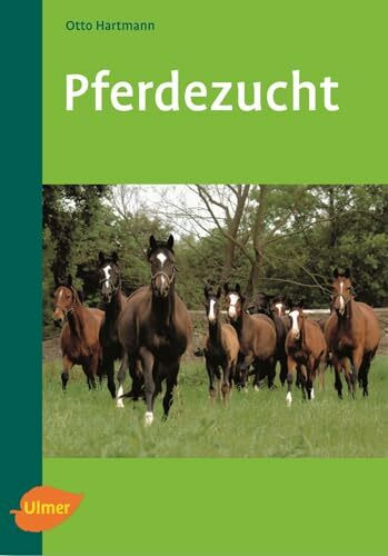 Pferdezucht