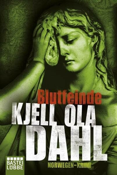 Blutfeinde: Norwegen Krimi (Allgemeine Reihe. Bastei Lübbe Taschenbücher)