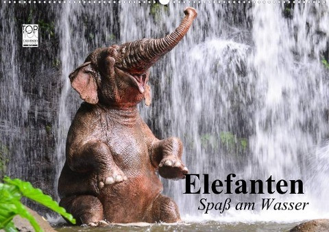 Elefanten. Spaß am Wasser (Wandkalender 2022 DIN A2 quer)