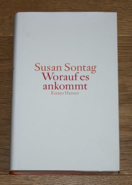Worauf es ankommt: Essays