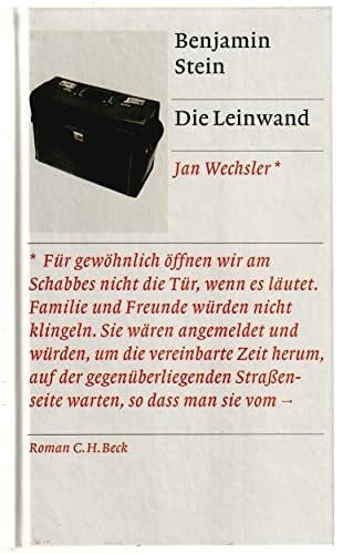 Die Leinwand: Roman