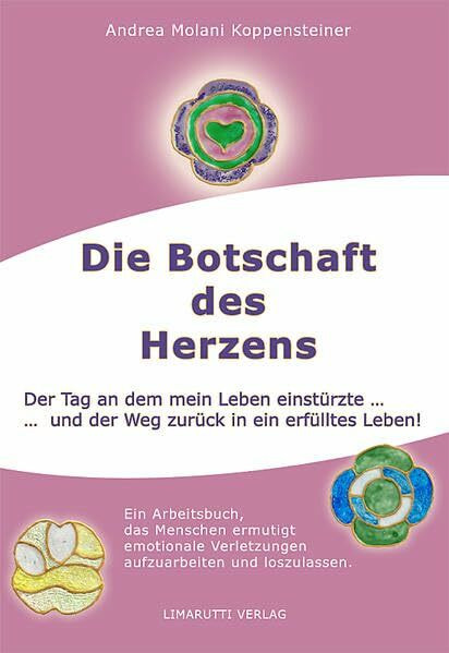 Die Botschaft des Herzens: Der Tag an dem mein Leben einstürzte und der Tag zurück in ein erfülltes Leben !: Der Tag an dem mein Leben einstürzte und der Weg zurück in ein erfülltes Leben