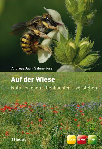 Auf der Wiese: Natur erleben - beobachten - verstehen