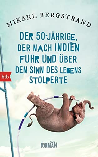 Der Fünfzigjährige, der nach Indien fuhr und über den Sinn des Lebens stolperte: Roman (Die Göran-Borg-Romane, Band 1)