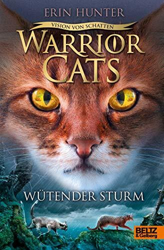 Warrior Cats - Vision von Schatten. Wütender Sturm: Staffel VI, Band 6 (Warrior Cats, Staffel 6: Vision von Schatten, 6)