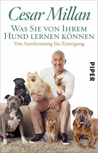 Was Sie von Ihrem Hund lernen können: Von Anerkennung bis Zuneigung