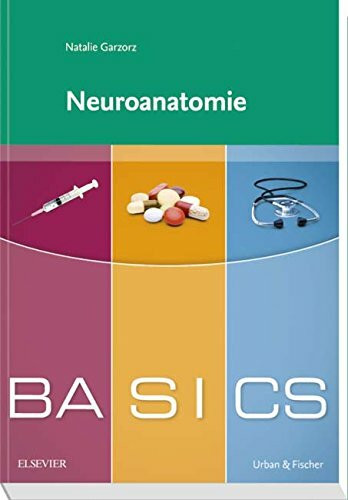 BASICS Neuroanatomie