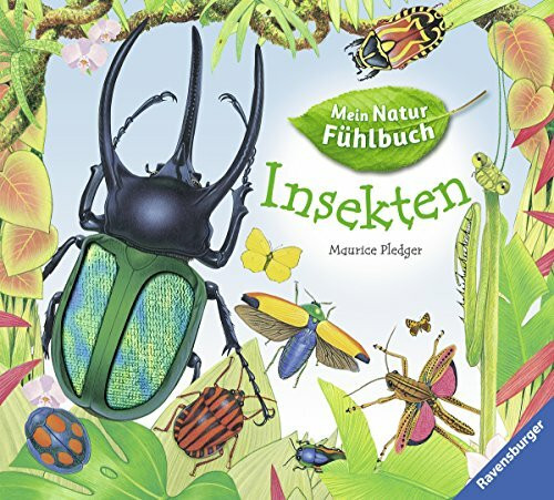 Insekten (Mein Natur-Fühlbuch)