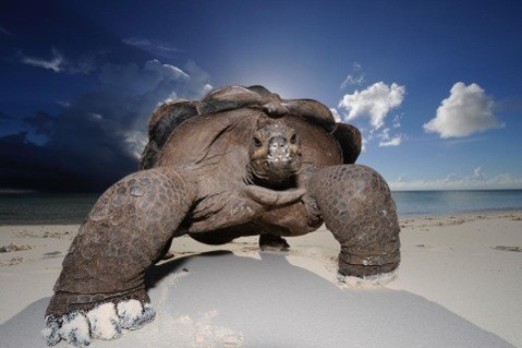 Wildlife Photographer of the Year Portfolio 23