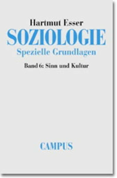 Soziologie. Spezielle Grundlagen: Band 6: Sinn und Kultur