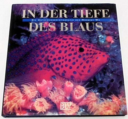 In der Tiefe des Blaus